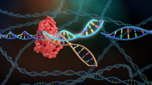 neon multi-coloured DNA on black background