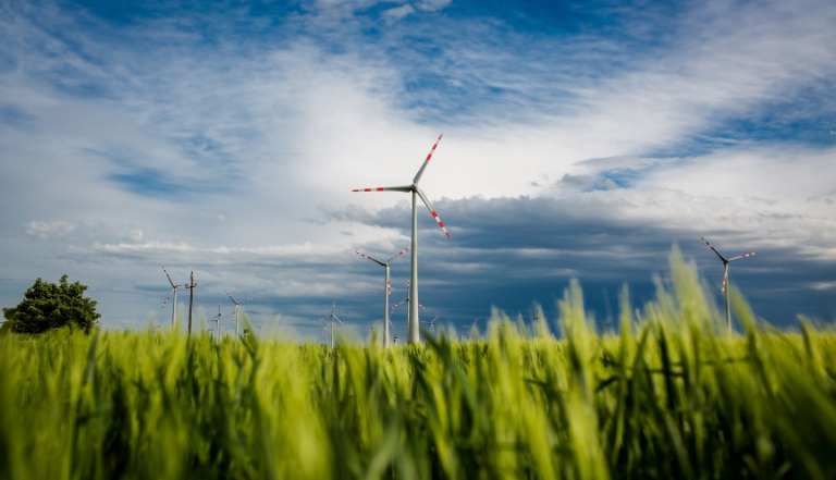 Photo: wind turbine above crop field